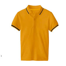 Áo Polo nam cổ bẻ phối viền sang trọng